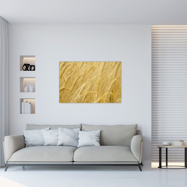 Slika - Ječam (90x60 cm)