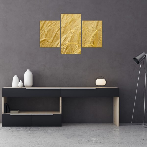 Slika - Ječam (90x60 cm)