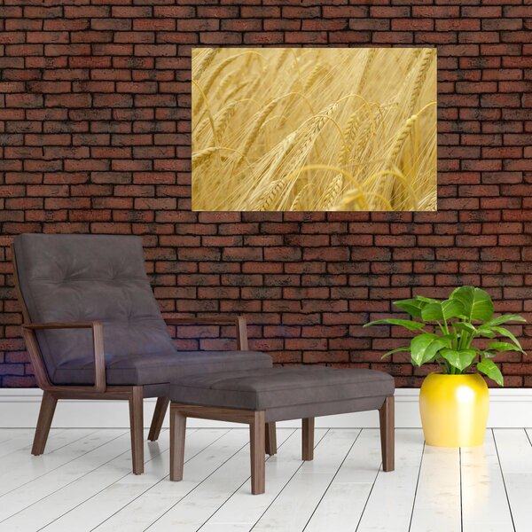 Slika - Ječam (90x60 cm)