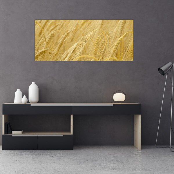 Slika - Ječam (120x50 cm)