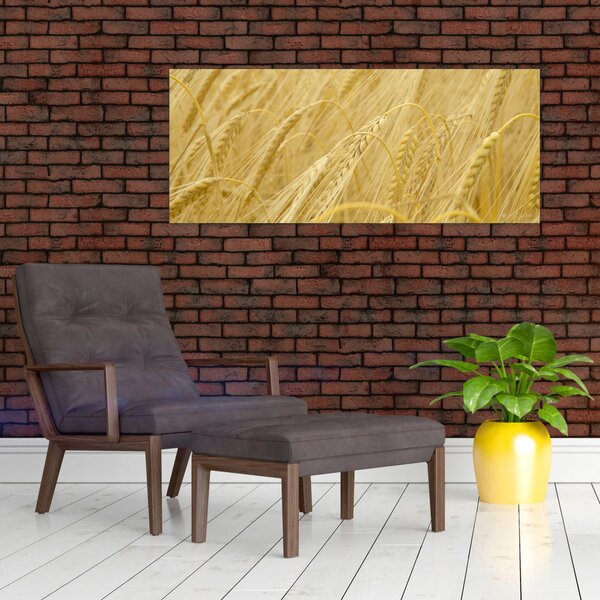 Slika - Ječam (120x50 cm)