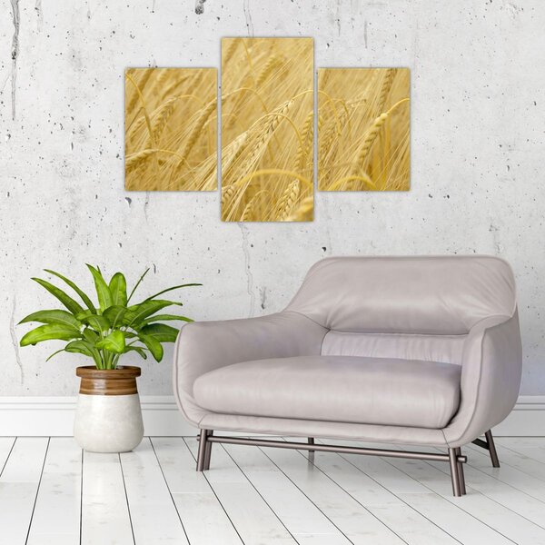 Slika - Ječam (90x60 cm)