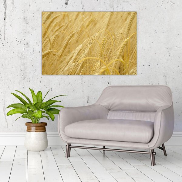 Slika - Ječam (90x60 cm)