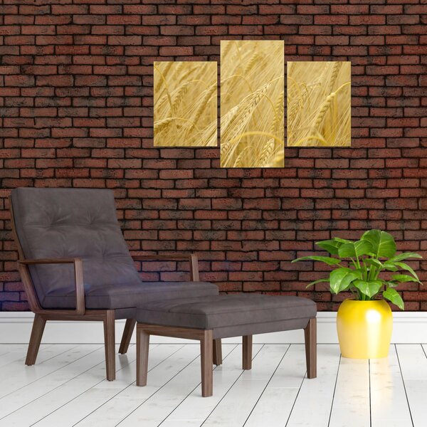 Slika - Ječam (90x60 cm)