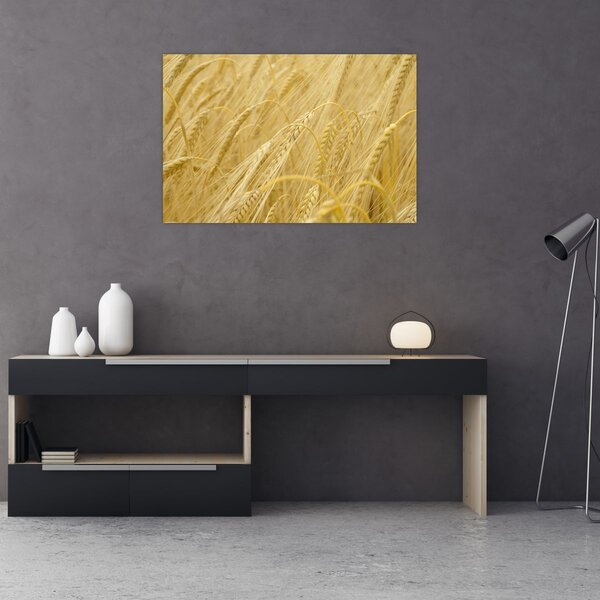 Slika - Ječam (90x60 cm)