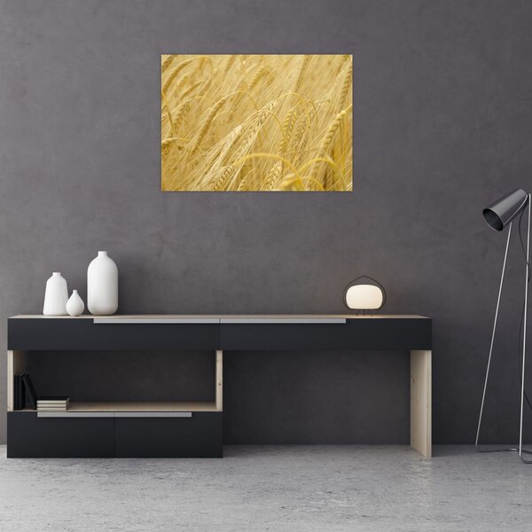 Slika - Ječam (70x50 cm)