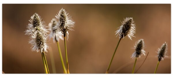 Slika - Trava (120x50 cm)