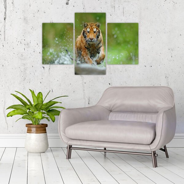 Slika - Tigar koji trči (90x60 cm)