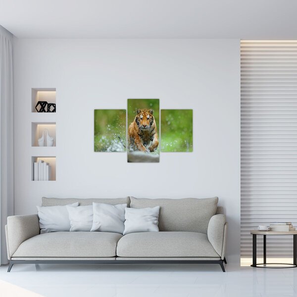 Slika - Tigar koji trči (90x60 cm)