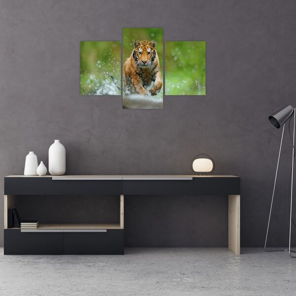 Slika - Tigar koji trči (90x60 cm)