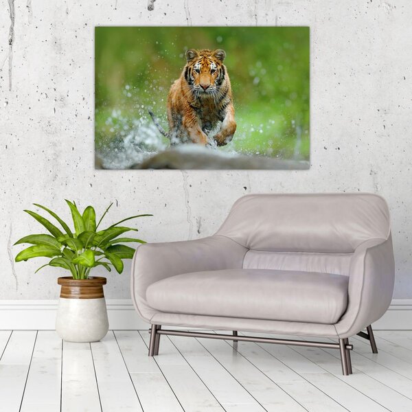 Slika - Tigar koji trči (90x60 cm)