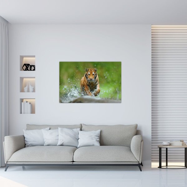 Slika - Tigar koji trči (90x60 cm)
