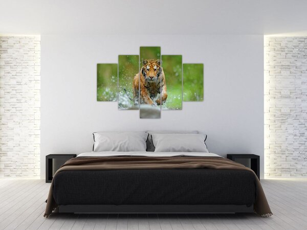 Slika - Tigar koji trči (150x105 cm)