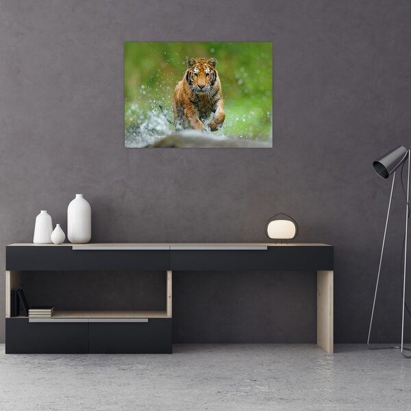 Slika - Tigar koji trči (70x50 cm)