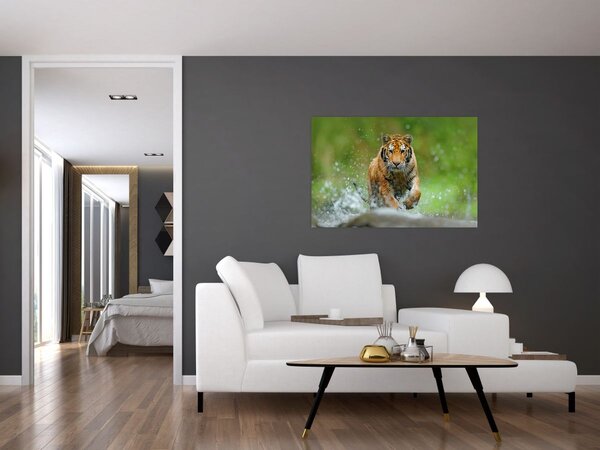 Slika - Tigar koji trči (90x60 cm)