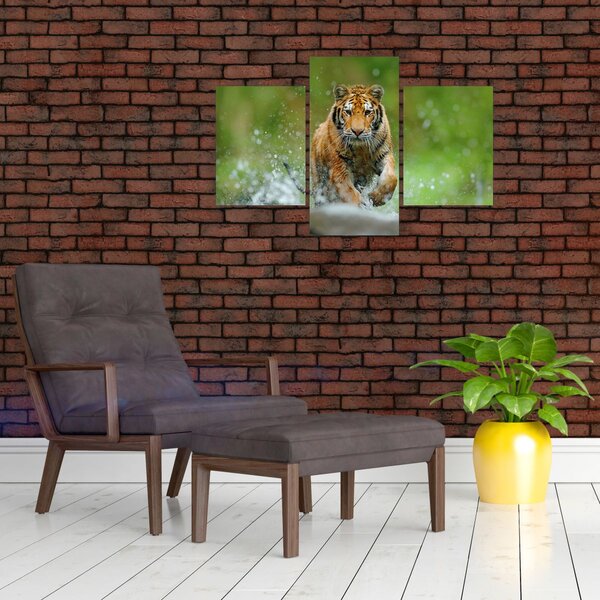 Slika - Tigar koji trči (90x60 cm)