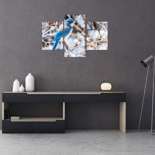 Slika - Zimska ptica (90x60 cm)