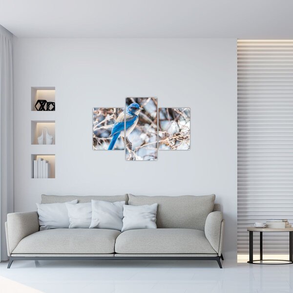 Slika - Zimska ptica (90x60 cm)