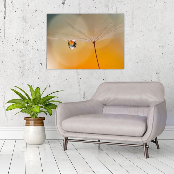 Slika - Makro cvijet (70x50 cm)
