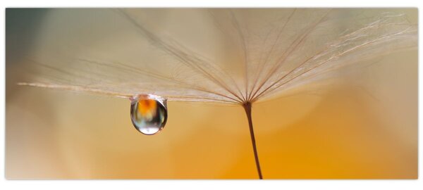 Slika - Makro cvijet (120x50 cm)