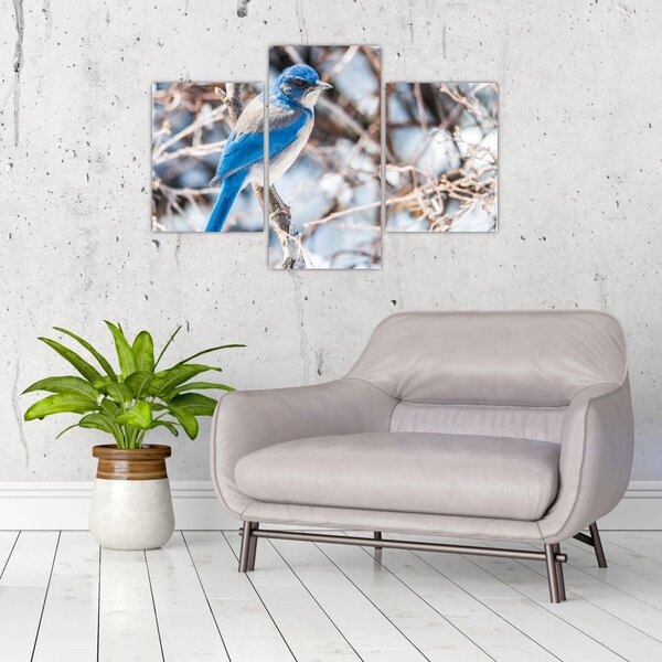 Slika - Zimska ptica (90x60 cm)