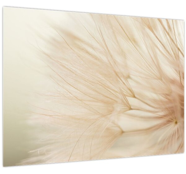 Slika - Detalji cvijeta (70x50 cm)
