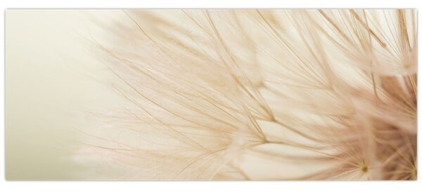 Slika - Detalji cvijeta (120x50 cm)