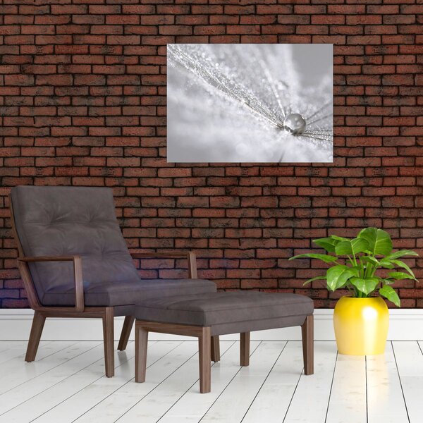 Slika - Kap vode (70x50 cm)
