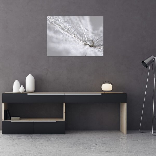 Slika - Kap vode (70x50 cm)