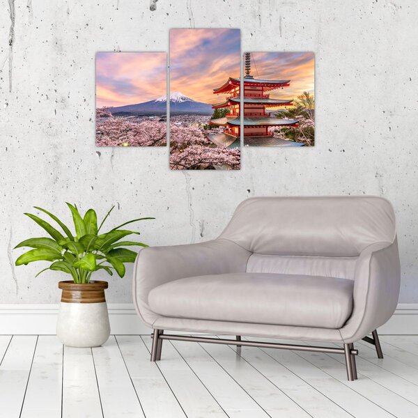 Slika - Fuji, Japan (90x60 cm)