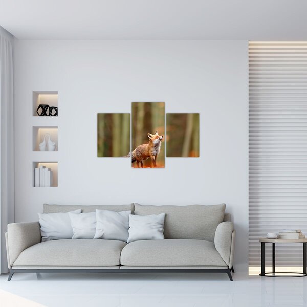 Slika - Lisica (90x60 cm)