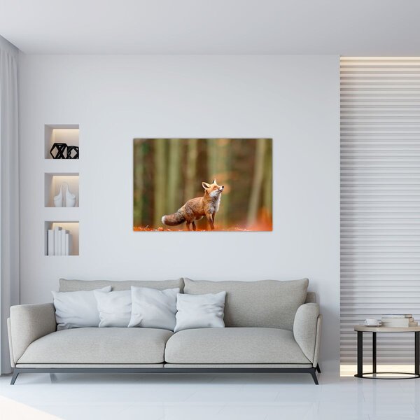 Slika - Lisica (90x60 cm)