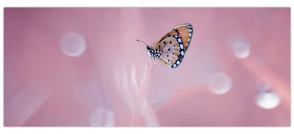 Slika - Leptirić (120x50 cm)
