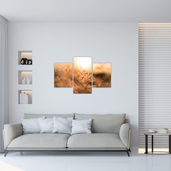 Slika - Trava na suncu (90x60 cm)