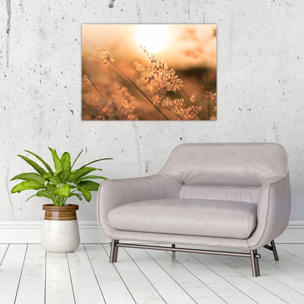 Slika - Trava na suncu (70x50 cm)