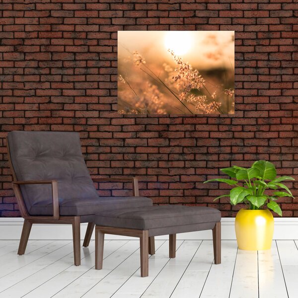 Slika - Trava na suncu (70x50 cm)