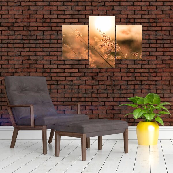 Slika - Trava na suncu (90x60 cm)