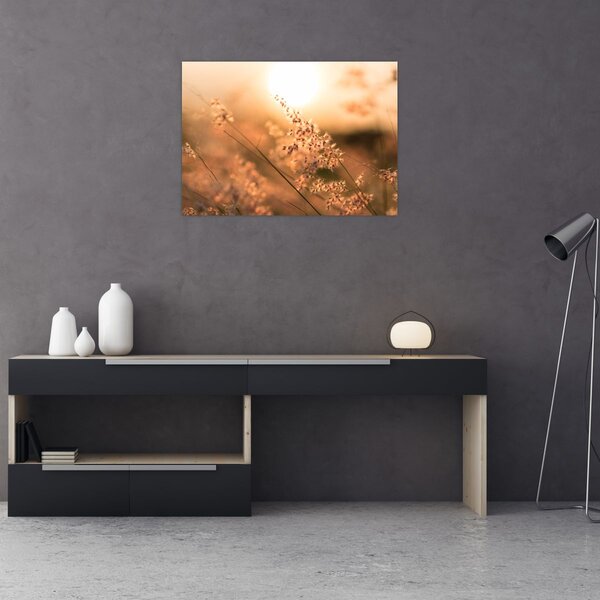 Slika - Trava na suncu (70x50 cm)