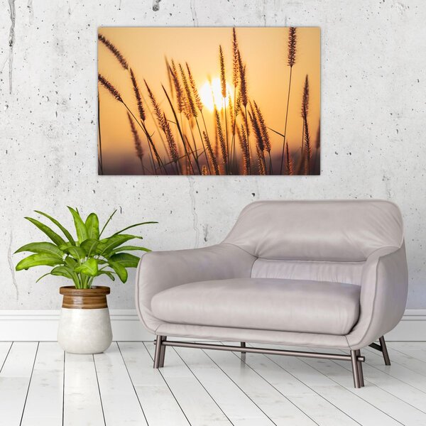 Slika - Trave na suncu (90x60 cm)