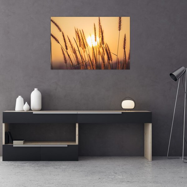 Slika - Trave na suncu (90x60 cm)
