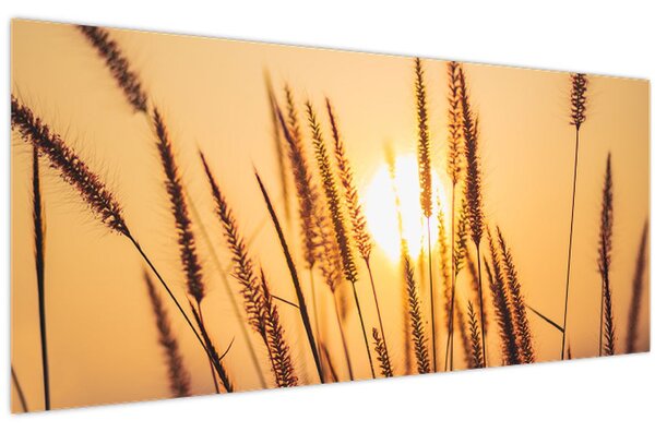 Slika - Trave na suncu (120x50 cm)