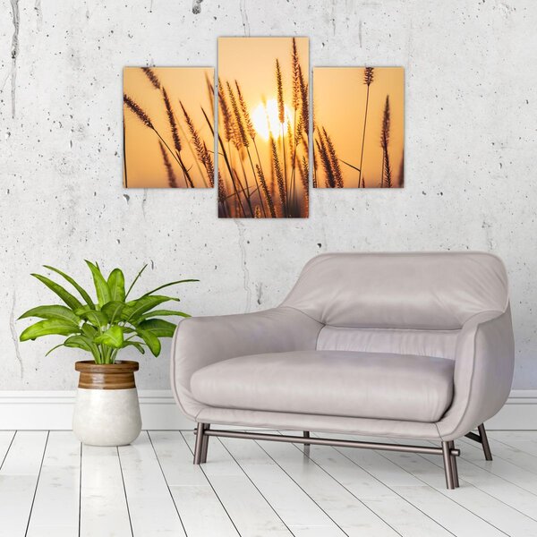Slika - Trave na suncu (90x60 cm)