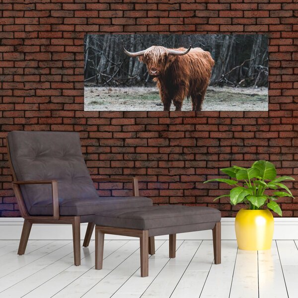 Slika - Škotska krava 2 (120x50 cm)