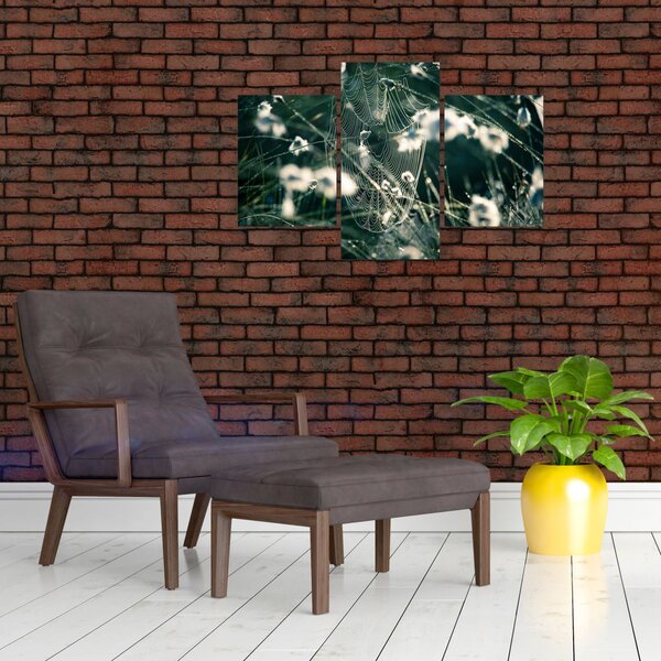 Slika - Paučina (90x60 cm)