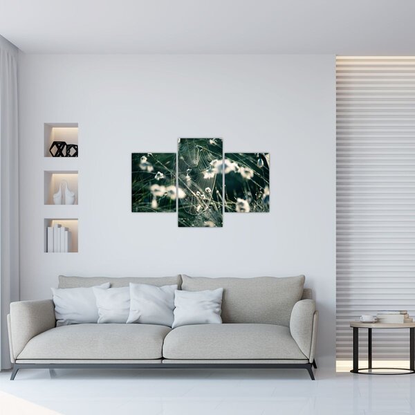 Slika - Paučina (90x60 cm)