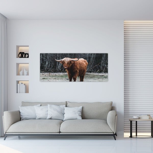 Slika - Škotska krava 2 (120x50 cm)