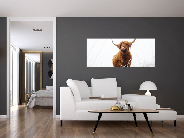 Slika - Škotska krava (120x50 cm)