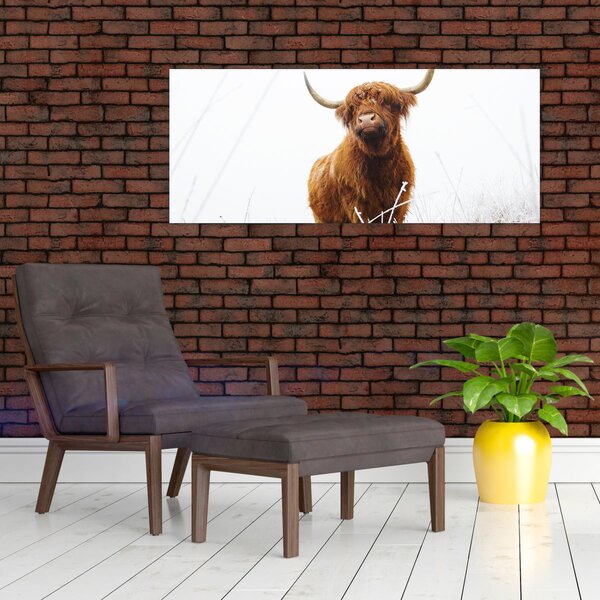 Slika - Škotska krava (120x50 cm)