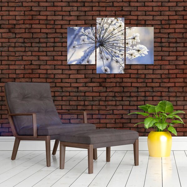 Slika - Smrznuti cvijet (90x60 cm)