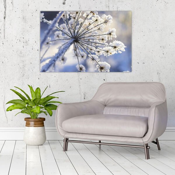 Slika - Smrznuti cvijet (90x60 cm)